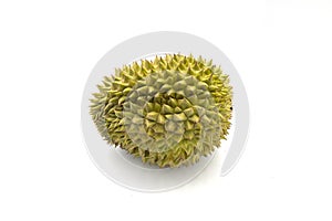 Whole tropical fruit durian on white background. Tasty fruit with awfull smell. Exotic fruit durian studio photo