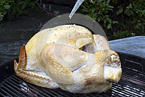 Whole Turkey on the Grill