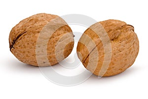 Whole two walnuts isolated on white