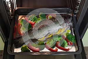 whole uncooked rainbow trout on baking tray in oven