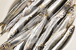 Whole uncooked sardines
