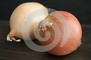 Sweet Yellow Vidalia Onions photo