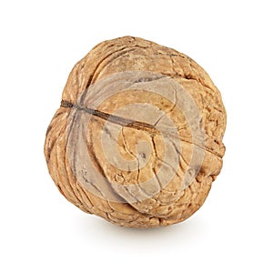 Whole walnut isolated on white background