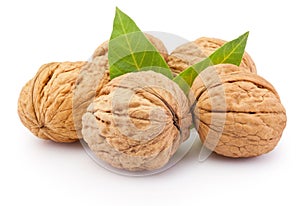 Whole walnut with leafs isolated on white background