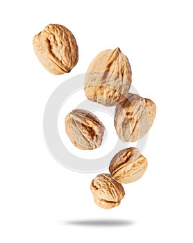 Whole walnuts in the air close up isolated on a white background