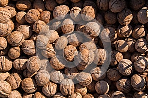 Whole walnuts background