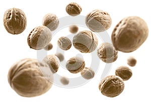 Whole walnuts levitate on a white background