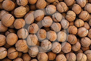 Whole walnuts in nutshells close up