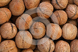 Whole walnuts in nutshells close up