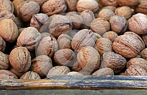 Whole walnuts in nutshells close up