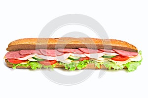 Whole wheat baguette sandwich