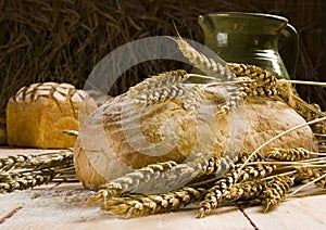 Entero trigo pan 