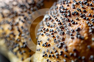 Whole wheat bread. Fresh loaf of rustic traditional bread with wheat poppy seeds in pattern of macro photography. Rye bakery with