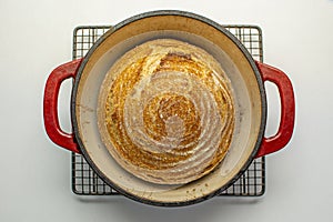 Whole wheat bread loaf baked in dutch oven iron cast pot, pure levain