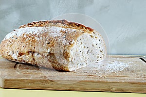 Whole wheat bread. Traditional in brazilian breakfast
