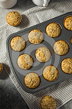 Whole Wheat Breakfast Bran Muffins