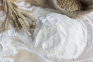 Whole Wheat Flour