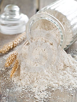 Whole wheat flour