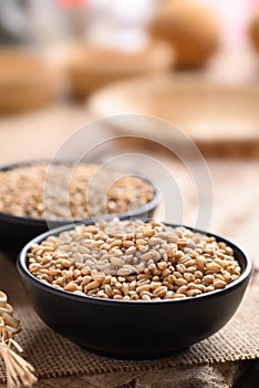 Whole wheat grain in a black bowl on wooden background