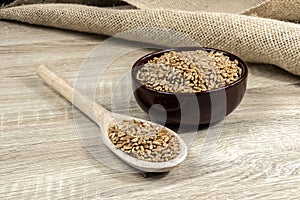 Whole wheat grains in a wooden spoon and a ceramic bowl on a wooden table