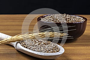 Whole wheat grains in a wooden spoon and a ceramic bowl on a wooden table