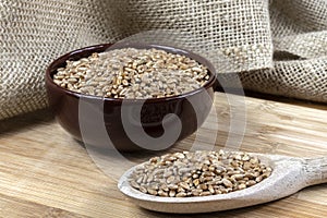 Whole wheat grains in a wooden spoon and a ceramic bowl on a wooden table