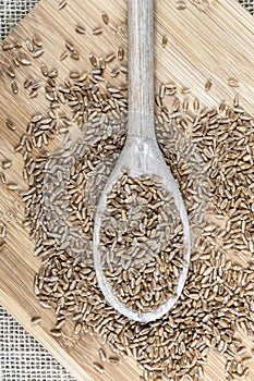 Whole wheat grains in a wooden spoon on a wooden table