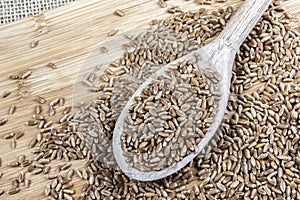 Whole wheat grains in a wooden spoon on a wooden table