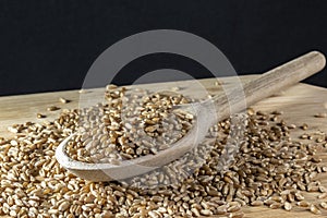 Whole wheat grains in a wooden spoon on a wooden table
