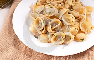 Whole wheat orecchiette pasta with walnuts