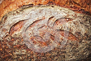 Whole wheat spelt bread with sourdough