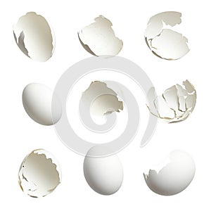 Whole white chicken eggs and broken eggshells arranged on a clean white background