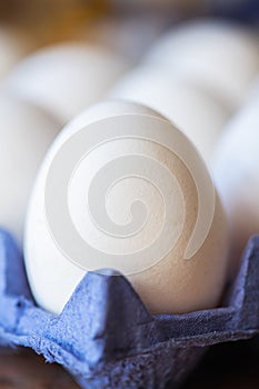 Whole white egg in a carton. Macro photography. Selective focus