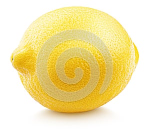 Whole yellow lemon citrus fruit on white