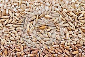 Wholegrains