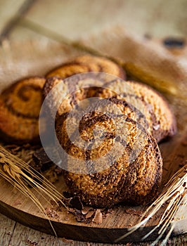 Wholemeal biscuits with barley, spelled, oats and chocolate