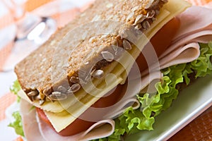 Wholemeal cheese and ham sandwich