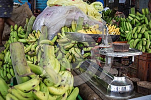 Wholesale bananas market and weighing