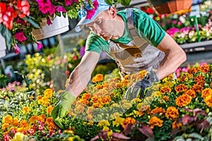 Wholesale Florist Job