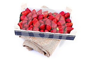 Wholesale Strawberries