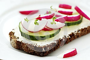Wholesome sandwich with cheese and garden radish photo