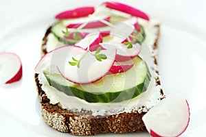 Wholesome sandwich with cheese, garden radish