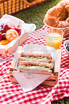 Wholesome summer picnic spread