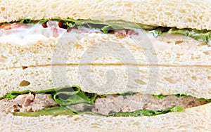 Wholewheat tuna sandwich