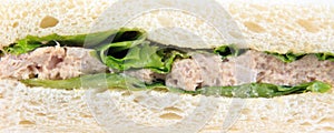 Wholewheat tuna sandwich