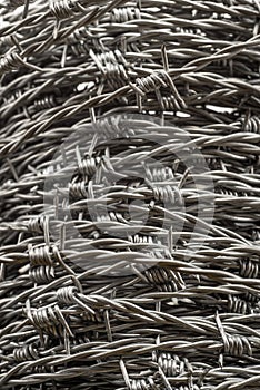 Whorl of barbed wire forming a coil