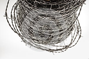 Whorl of barbed wire forming a coil