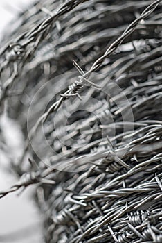 Whorl of barbed wire forming a coil