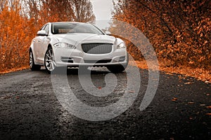 Whtie luxury car stay on wet asphalt road at autumn