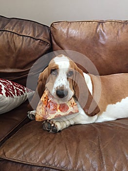 Why can`t I have Pizza too